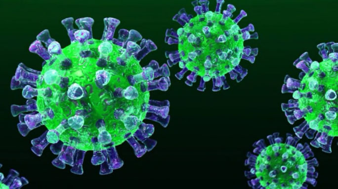 Nederland is in de ban van het corona-virus.