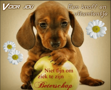 Ansichtkaart voor pechvogel Marijke